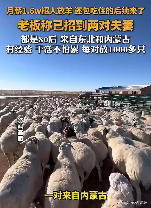 月薪1.6万放羊:两对夫妻的选择与挑战