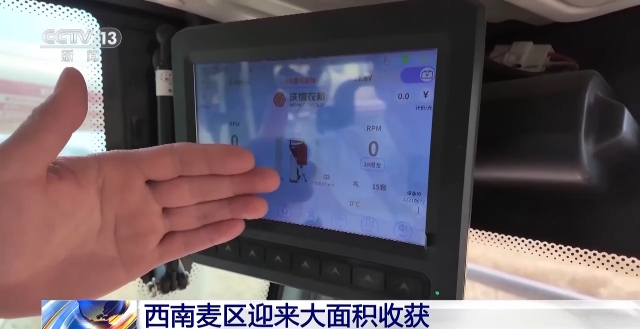 西南麦区丰收在望:大面积收获的背后