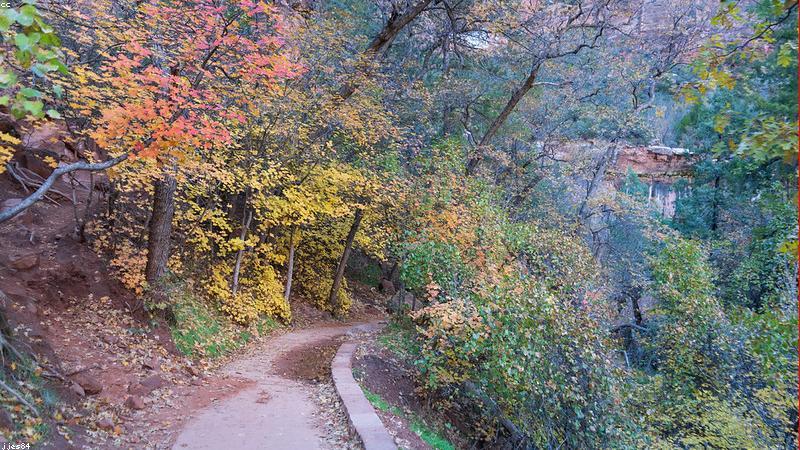 四川一旅游车坠入河滩:悲剧背后,旅游业安全需高度重视