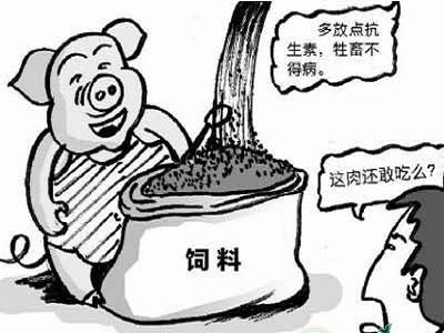 媒体:用浸猪笼算计流量是精确的恶
