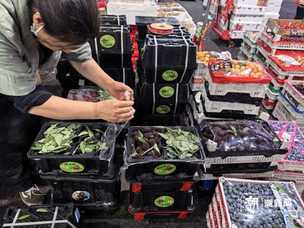 泡药杨梅事件引发行业震动:商家主动断货,消费者信心受挫